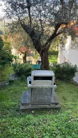 Villa in the olive groves 15 minutes from the sea - Image 2