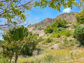 Nature, Sea and amazing views at Mirador del Cañuelo - Image 3