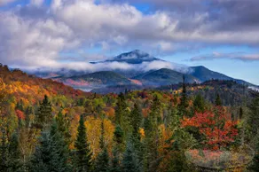 River Road Loj - Lake Placid log cabin rental - Image 3
