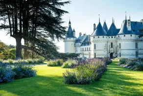 Vineyards & Châteaux: Treasures of the Loire Valley - Image 2