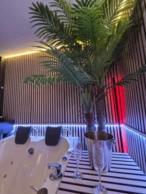 Steam room, Jacuzzi, sauna - Image 4