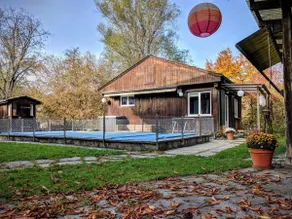 Oasis near the city of Bern - Image 3