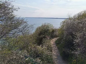 5 stjernet sommerhus i Ebeltoft - Image 4