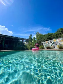 Sea Grape Escape Mid-Century Modern Pool home! - Image 2