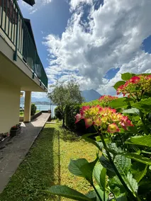 Ortensia Lake Como - perfect for couple and pets - Image 3