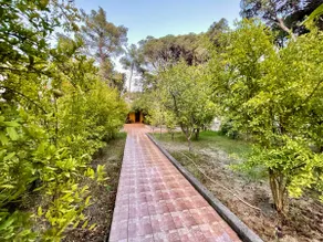 Charming Beachside Villa With Big Garden - Image 2
