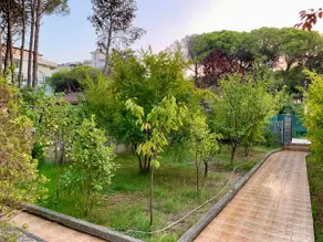 Charming Beachside Villa With Big Garden - Image 5