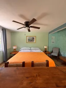 My tropical home @ El Nido de las Iguanas - Image 2
