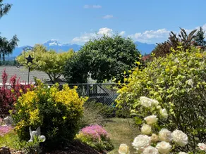 Olympic View Getaway - 8 minutes to Seattle ferry - Image 3