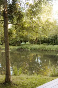 The Black Alder - Image 5