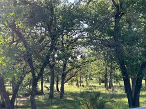 Fox Burrow w/Deck acreage horses/ query for pets. - Image 2