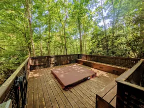 Cozy Wooded Cabin, Spa Hot Tub, Close to Biltmore - Image 2