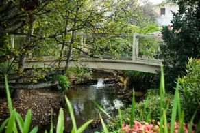 Adelaide Hills Camellia Cottage Wifi - Image 2