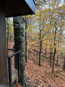 ANALOG - Private Beach & Acres of exclusive sanctuary set in a peaceful forest - Image 4
