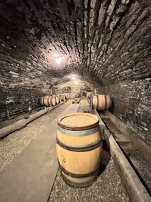 Domaine Paulette, White House - Image 4