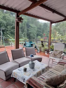 Nature's little corner - Image 3