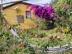 Diamantina, Curralinho (Extraction) - Image 4