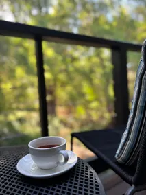 Escape Hatch: A Tranquil Retreat with Forest Views - Image 5