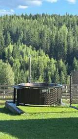 The Bear Grills, Vatra Dornei - Image 5