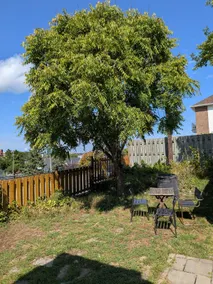 Full Kitchen Suite | King Bed | Free Parking (3) - Image 3