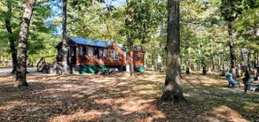 Unplug & Reconnect-Tiny Cabin, Fire Pit & Creek - Image 2
