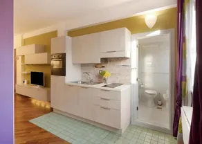 Central Apartment - Image 4