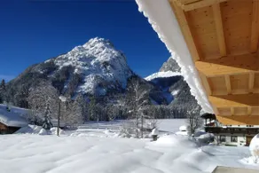Alpenchalet im Leutaschtal - Image 5