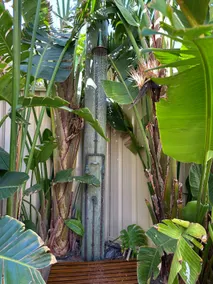 BackersBeach Villa - Image 5