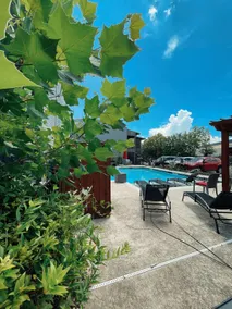 Keep Austin Cozy - Boutique Central Retreat - Image 4