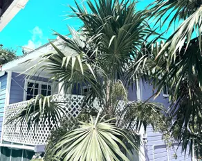 Hummingbird Purple 1st floor tiny house - Image 2