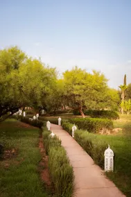 Rïad Mayo & Bungalows - A Private 5 Hectare Space - Image 2