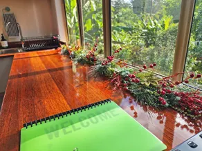 Cosy Studio with Forest Views, Noosa Hinterland - Image 5