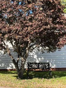 Huge, nice, & 100% private home! - Image 5