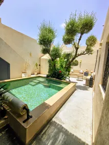 Romantic Getaway Private Pool No opposite neighbors. - Image 2