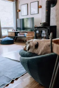 Chalet Scandinavian,  Turn Key Amenities + Pet Friendly + Dedicated Workspace with Hi Speed WiF - Image 4