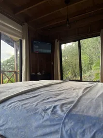 Tribe Cabin - Image 5