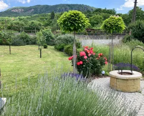 SzilvaVilla - Relax, garden and wine - Image 4