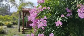 Seaside cabin in Balneario Marindia - Image 4