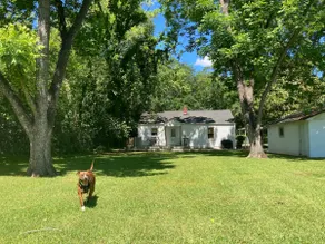 Martingale Cottage - Downtown & Bruce’s Field - Image 3