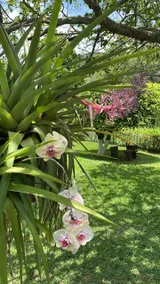 Luna D’Oro Ranch Swimming pool and nature - Image 5