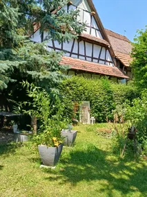 Garden guest house 15 minutes to Europa-Park - Image 4