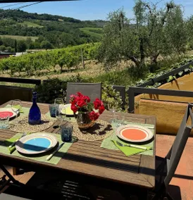 Chianti Barn with Pool and Vineyard View - Image 3