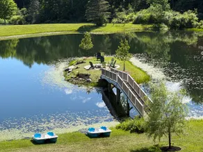 Beauty in the Berkshires. - Image 3