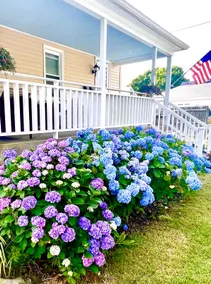 Jamestown Conanicut Island Retreat - The Island Life! - Image 5