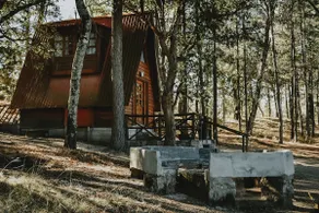 Romantic cabin in Bosques de Llano Grande - Image 2