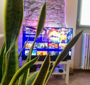 Residenza Borgo 9 - Image 5