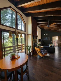 Magical Mid-Century Cabin | Epic Views & Vinyl - Image 2
