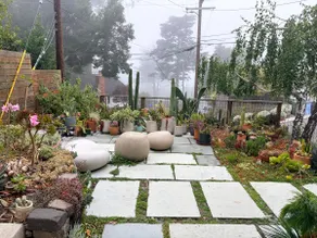 Modern Nature, Berkeley Hills Private Studio, Cal - Image 2