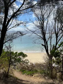 Idyllic Bruny Island Base - Beach and Bush - Image 5