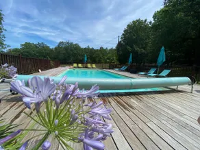 Le chene vert - Image 2